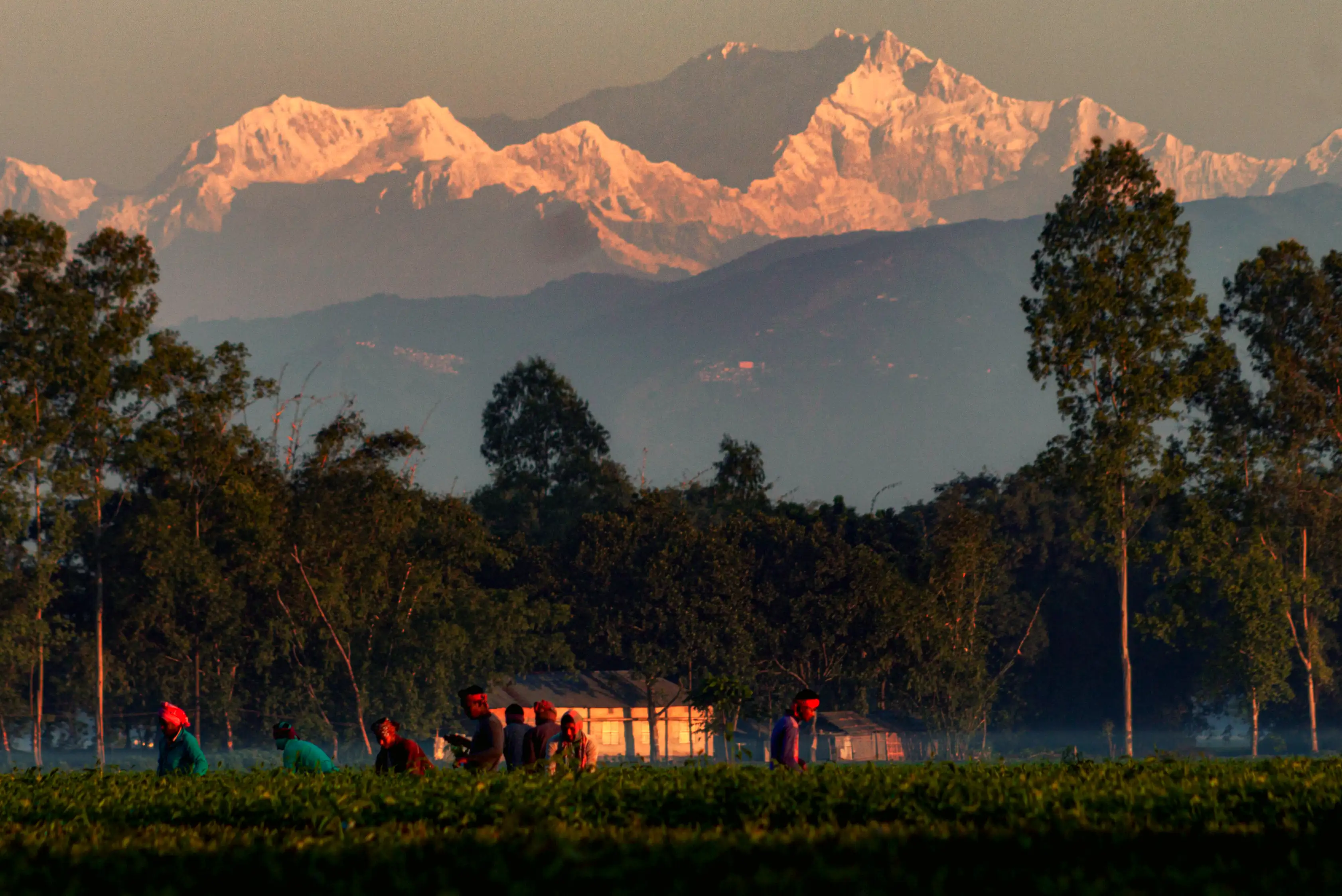 Kanchenjunga Viewpoint, Panchagarh