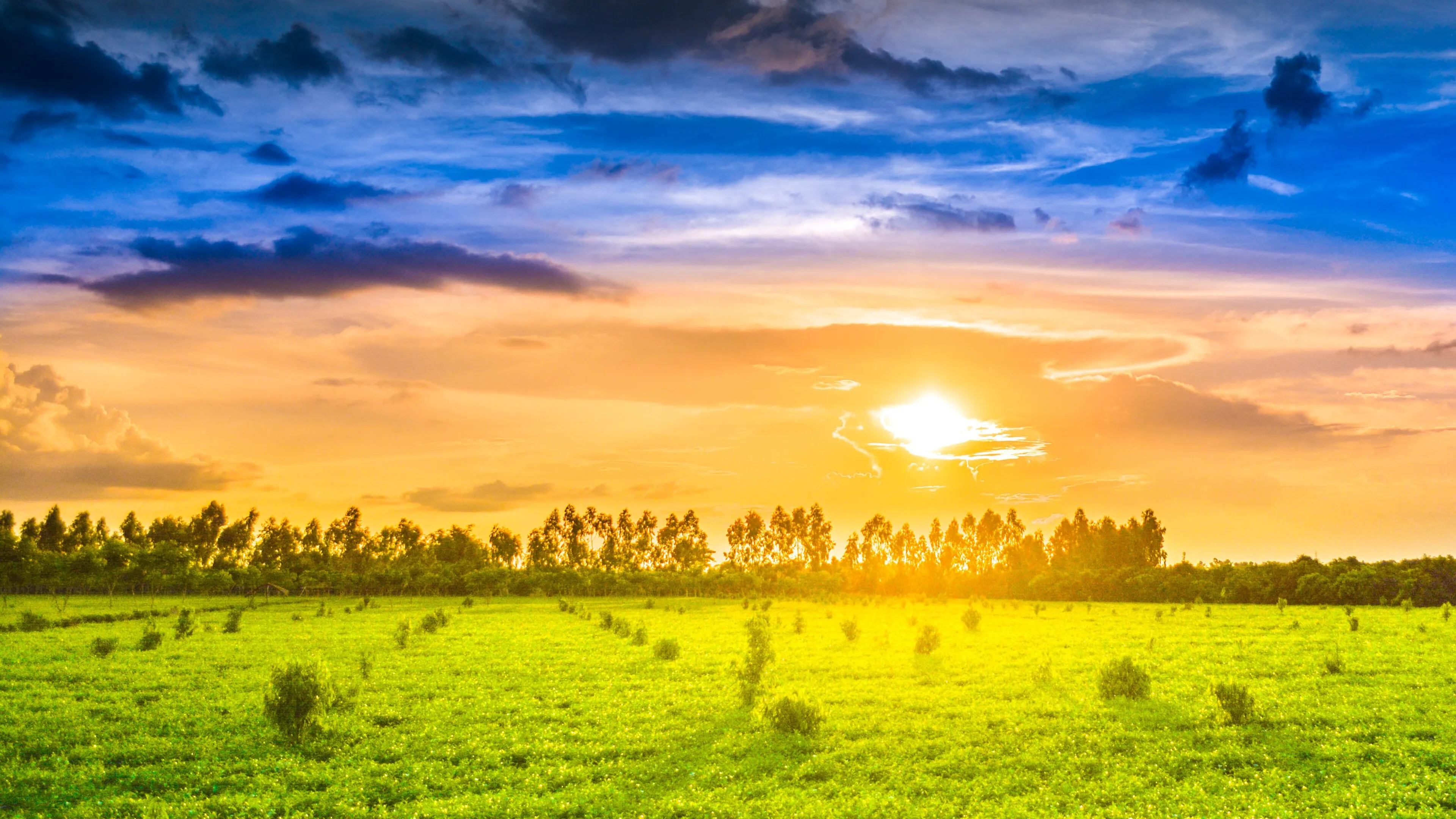 Panchagarh, Northern Plains
